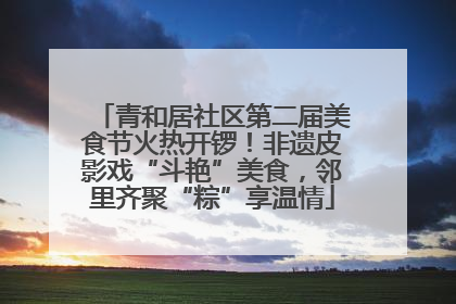 青和居社区第二届美食节火热开锣！非遗皮影戏“斗艳”美食，邻里齐聚“粽”享温情