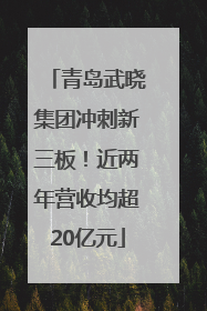 青岛武晓集团冲刺新三板！近两年营收均超20亿元
