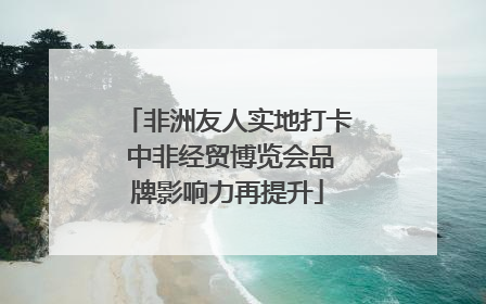 非洲友人实地打卡 中非经贸博览会品牌影响力再提升