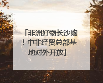 非洲好物长沙购！中非经贸总部基地对外开放