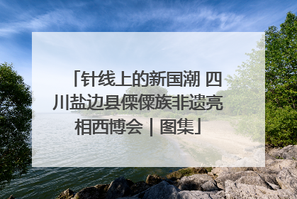针线上的新国潮 四川盐边县傈僳族非遗亮相西博会｜图集