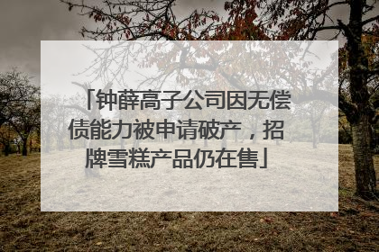 钟薛高子公司因无偿债能力被申请破产，招牌雪糕产品仍在售