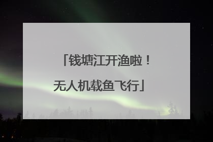 钱塘江开渔啦！无人机载鱼飞行