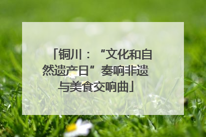 铜川：“文化和自然遗产日”奏响非遗与美食交响曲