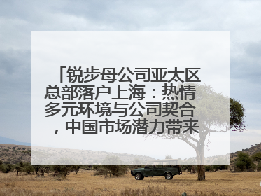 锐步母公司亚太区总部落户上海：热情多元环境与公司契合，中国市场潜力带来重要机遇