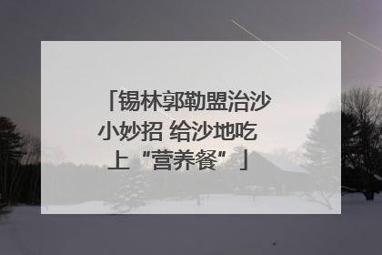 锡林郭勒盟治沙小妙招 给沙地吃上“营养餐”