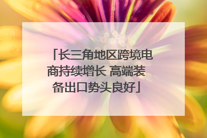 长三角地区跨境电商持续增长 高端装备出口势头良好