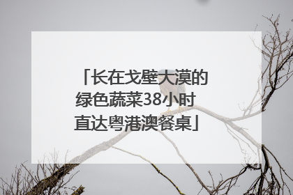 长在戈壁大漠的绿色蔬菜38小时直达粤港澳餐桌
