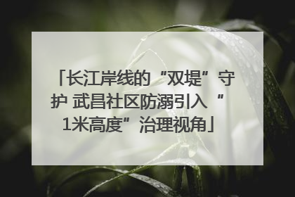 长江岸线的“双堤”守护 武昌社区防溺引入“1米高度”治理视角