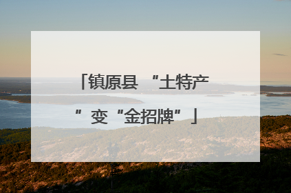 镇原县 “土特产”变“金招牌”