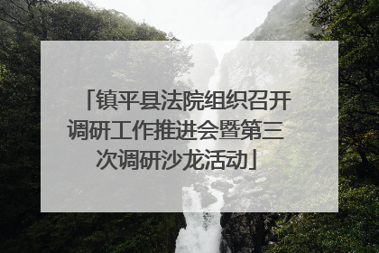 镇平县法院组织召开调研工作推进会暨第三次调研沙龙活动