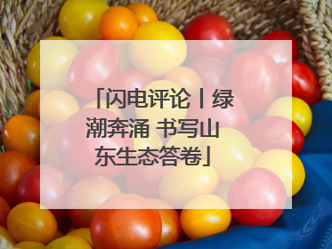 闪电评论丨绿潮奔涌 书写山东生态答卷