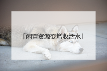 闲置资源变增收活水