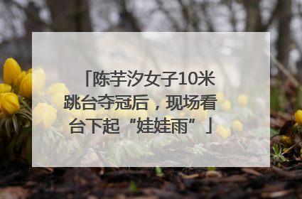 陈芋汐女子10米跳台夺冠后，现场看台下起“娃娃雨”