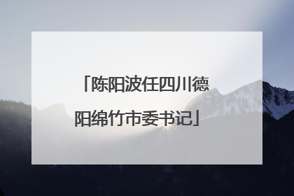 陈阳波任四川德阳绵竹市委书记