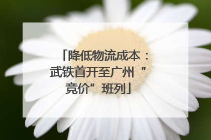 降低物流成本：武铁首开至广州“竞价”班列