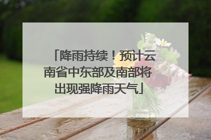 降雨持续！预计云南省中东部及南部将出现强降雨天气