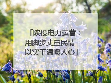 陕投电力运营：用脚步丈量民情 以实干温暖人心