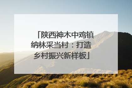 陕西神木中鸡镇纳林采当村：打造乡村振兴新样板