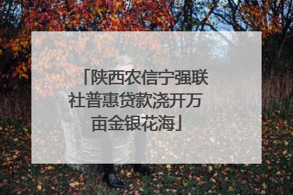 陕西农信宁强联社普惠贷款浇开万亩金银花海