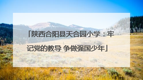 陕西合阳县天合园小学：牢记党的教导 争做强国少年