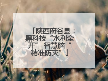 陕西府谷县：黑科技“水利全开” 智慧脑“精准防灾”