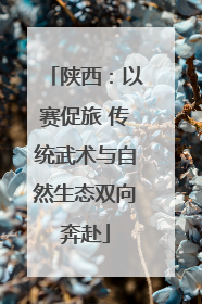陕西：以赛促旅 传统武术与自然生态双向奔赴