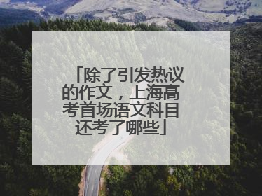 除了引发热议的作文，上海高考首场语文科目还考了哪些