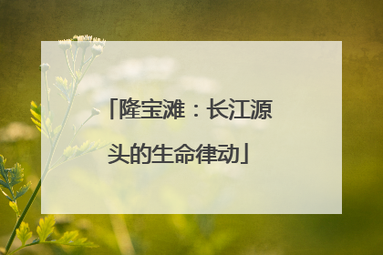 隆宝滩：长江源头的生命律动