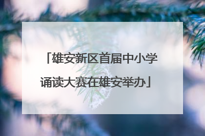 雄安新区首届中小学诵读大赛在雄安举办
