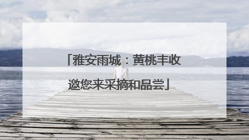 雅安雨城：黄桃丰收 邀您来采摘和品尝