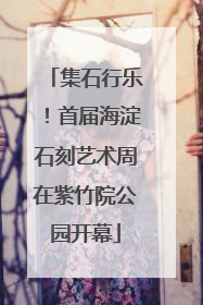 集石行乐！首届海淀石刻艺术周在紫竹院公园开幕