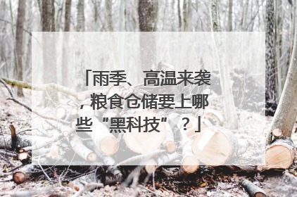 雨季、高温来袭，粮食仓储要上哪些“黑科技”？