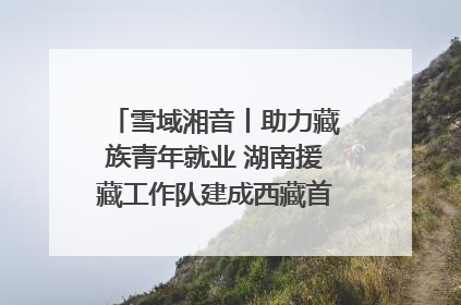 雪域湘音丨助力藏族青年就业 湖南援藏工作队建成西藏首个清洁能源装备园