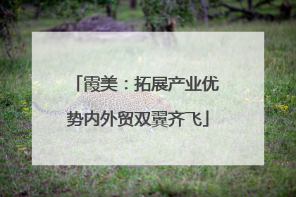 霞美：拓展产业优势内外贸双翼齐飞