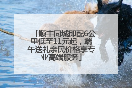 顺丰同城即配6公里低至11元起，端午送礼亲民价格享专业高端服务