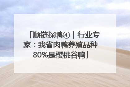 顺链探鸭④｜行业专家：我省肉鸭养殖品种80%是樱桃谷鸭