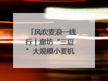 风吹麦浪一线行｜廊坊“三夏”大规模小麦机收全面开始