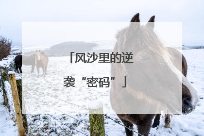 风沙里的逆袭“密码”