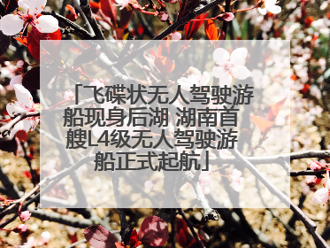 飞碟状无人驾驶游船现身后湖 湖南首艘L4级无人驾驶游船正式起航