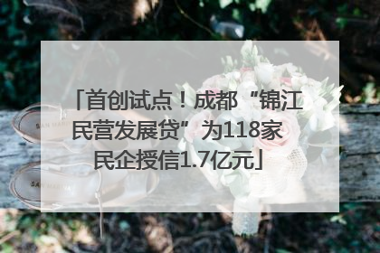 首创试点！成都“锦江民营发展贷”为118家民企授信1.7亿元