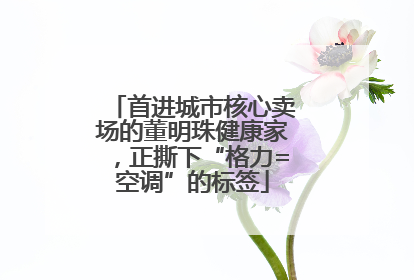 首进城市核心卖场的董明珠健康家，正撕下“格力=空调”的标签