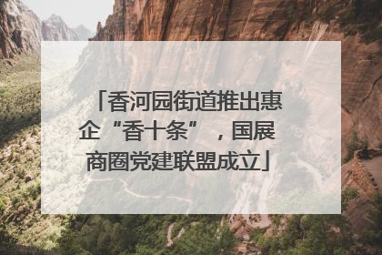 香河园街道推出惠企“香十条”，国展商圈党建联盟成立