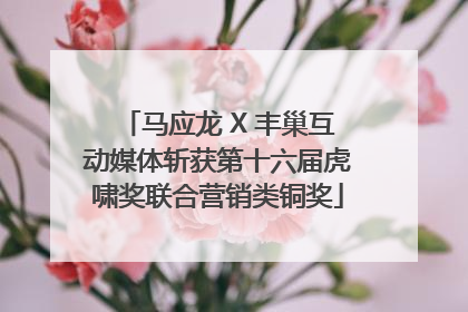 马应龙 X 丰巢互动媒体斩获第十六届虎啸奖联合营销类铜奖