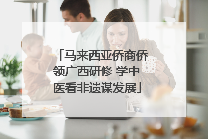 马来西亚侨商侨领广西研修 学中医看非遗谋发展
