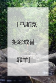 马斯克抱怨成替罪羊
