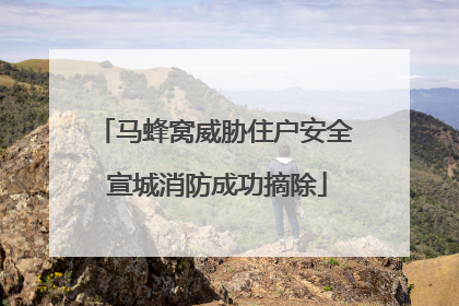 马蜂窝威胁住户安全 宣城消防成功摘除