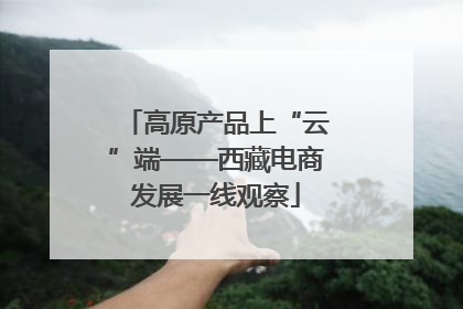 高原产品上“云”端——西藏电商发展一线观察