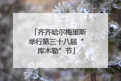 齐齐哈尔梅里斯举行第三十八届“库木勒”节