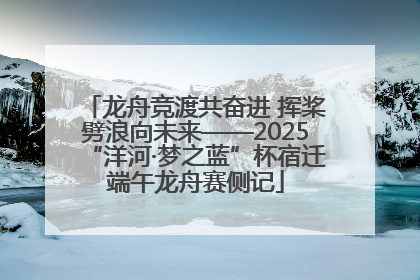 龙舟竞渡共奋进 挥桨劈浪向未来——2025“洋河·梦之蓝”杯宿迁端午龙舟赛侧记